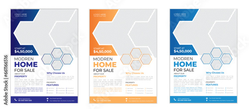 Real Estate Flyer Design template