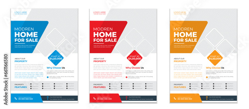 Real Estate Flyer Design template