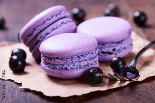 Free picture of tasty blue berry purple macaroons on wooden background