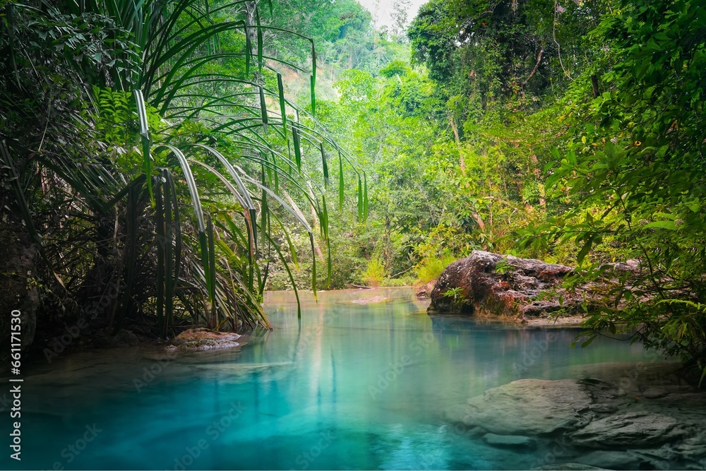 Naklejka premium Free picture of beautiful scenery Forest view