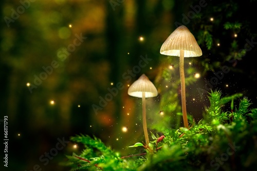 free picture of stunning mushrooms on moss and fireflies in forest at dusk