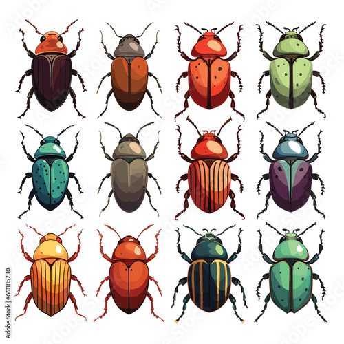 Hand Drawn Flat Color Beetles Illustration Set
