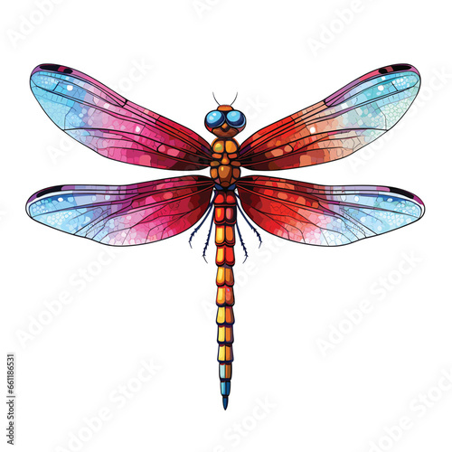 Hand Drawn Flat Color Dragonfly Illustration
