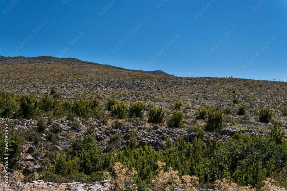Landscape of a hill in mediterranean coast during summer season