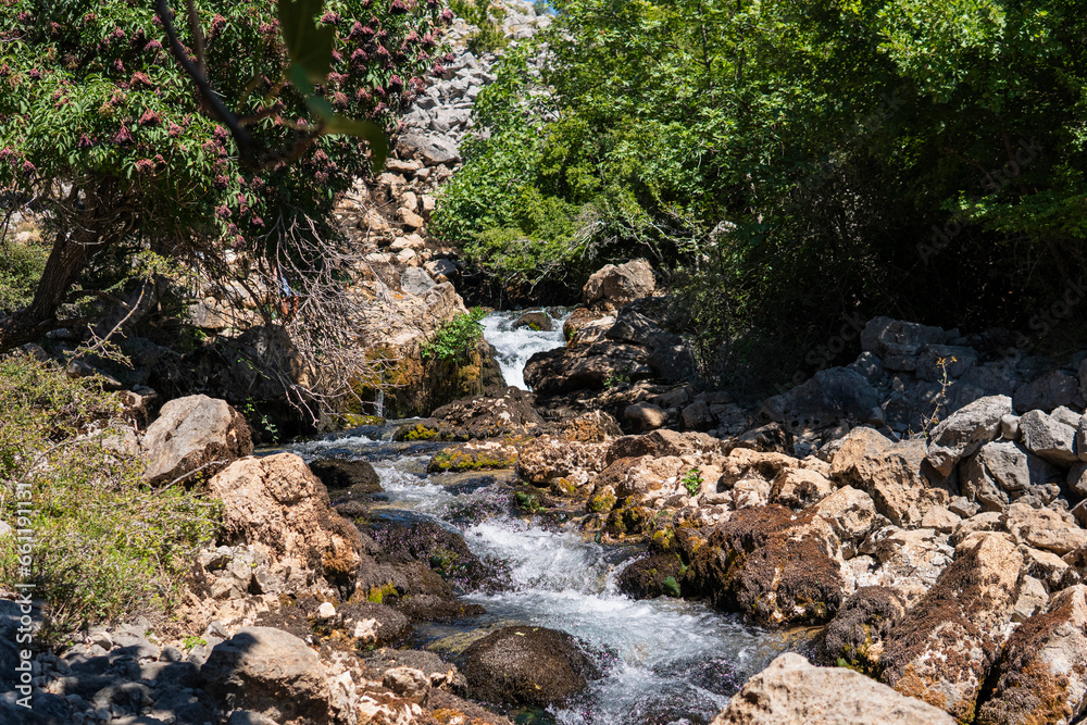 Valley of Krupa river near the karst spring Valley of Krupa river near the karst spring