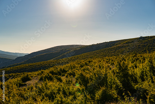 Hilly landscape in Croatia with terrain covered in Maquis shrubland