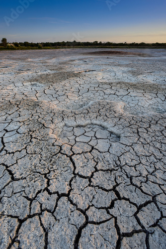 Broken dry soil in a Pampas lagoon, La Pampa province, Patagonia, Argentina.