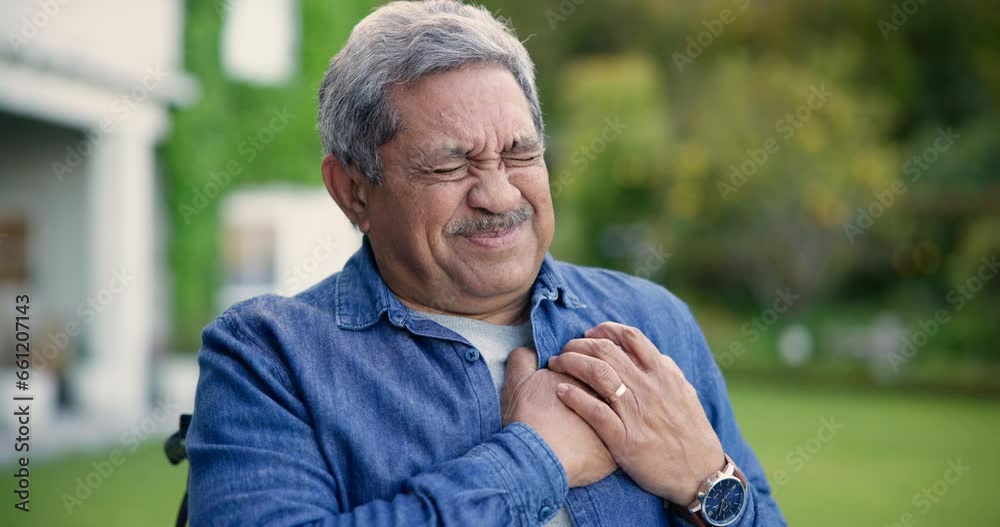 Chest pain, garden and senior man for medical emergency, injury and heart attack outdoors. Healthcare, retirement and elderly person in nature with heartburn, cardiovascular problem and discomfort