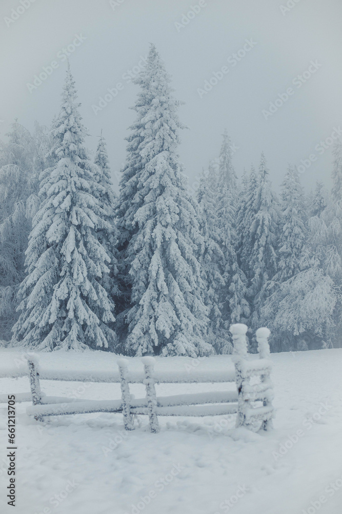 Fence with trees covered in snow in winter.jpg