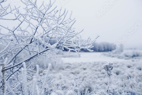 Frozen branch with frozen landscape in Lapland.jpg © Nander
