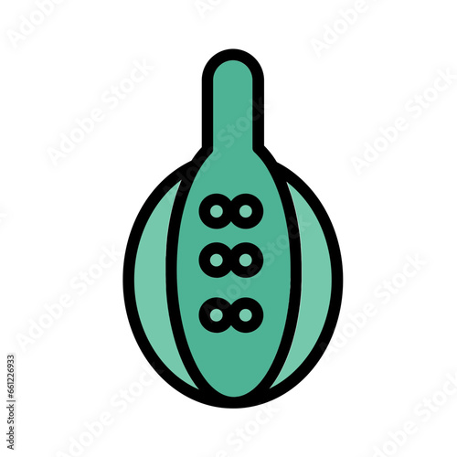 Plant Spice Ginger Icon