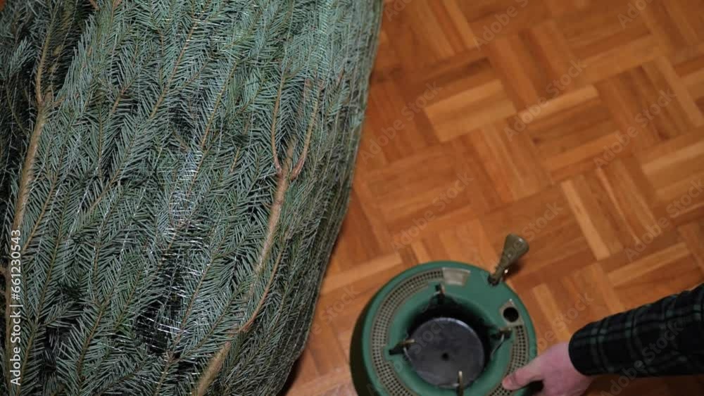 Christmas tree fastener.holder for holiday tree. hands place a