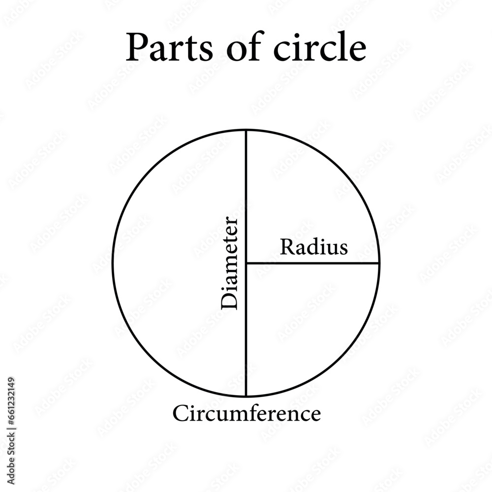 Parts of circle. Circles for kids. Radius, Diameter and Circumference