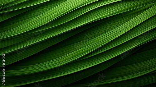 Abstract background of grass leaves in macro view. Extreme macro of grasses in abstract texture. Grass wallpaper.