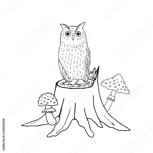 Wooden stump with an owl and mushrooms. Hand drawn vector illustration. For coloring, cards, printing, packaging, invitations, business cards, advertising photo