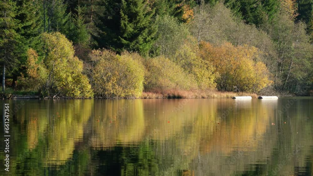 Lake on the mountain surrounded by autumn forest