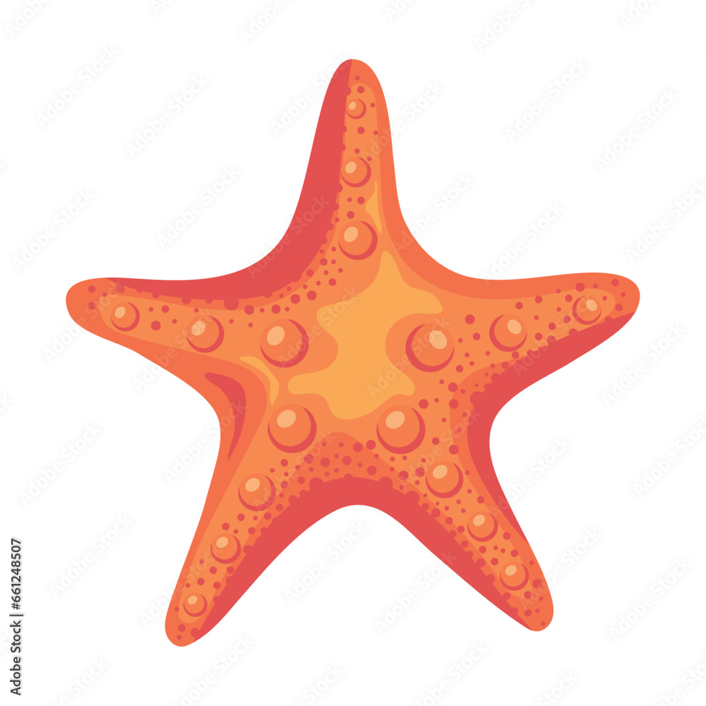 pink starfish sea life pink starfish sea life