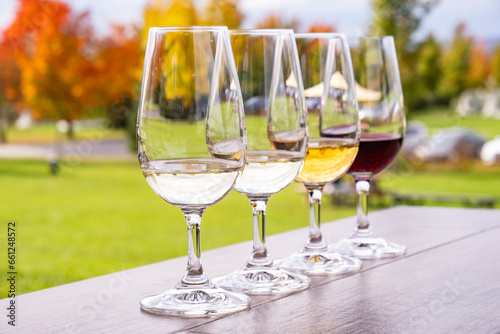 Wine Tasting in a Vineyard With Fall Foliage as Backdrop