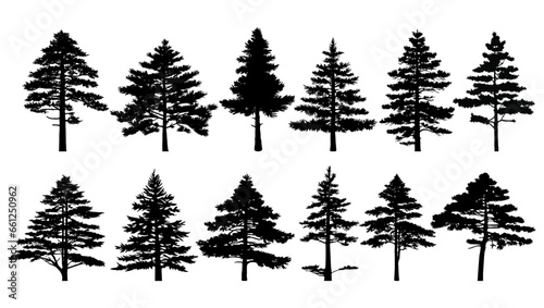 Collection of silhouettes of pine trees. Vector Illustration.