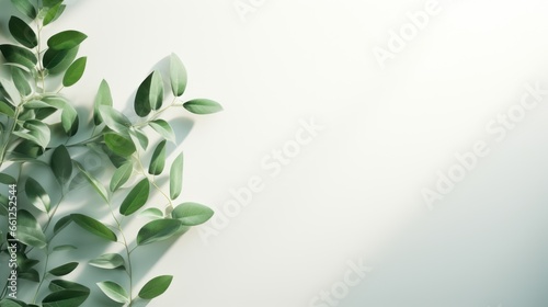 Blurred shadow from leaves plants on the white wall. Minimal abstract background