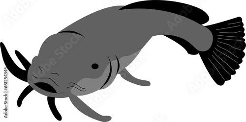 catfish