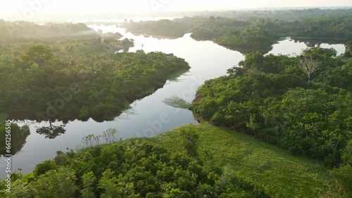 Wallpaper Mural Aerial view of rainforest river jungle in Amazonas Brazil at sunrise Torontodigital.ca