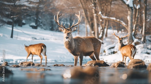 Winter's Majestic Wildlife Elk Deer with Large Antlers at Lake