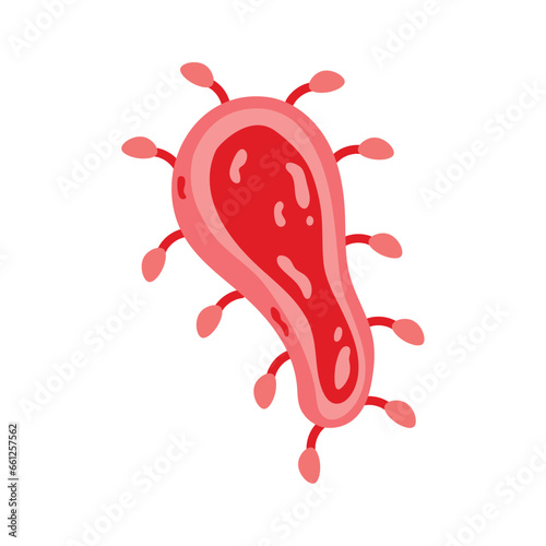 virus nipah pathology