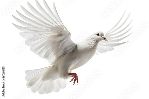A free flying white dove of peace isolated on transparent or white background. Generative AI