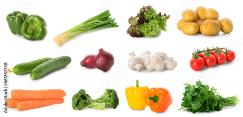 Set of many fresh vegetables isolated on white
