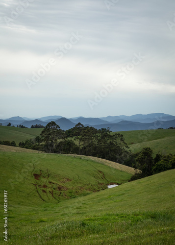 A green valley with interlocking spurs, and trees with a background of distant mountains and an overcast sky.