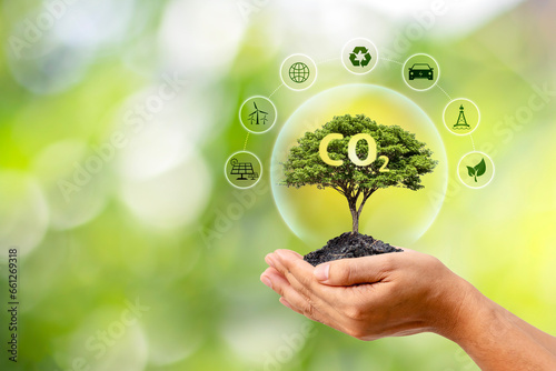Tree growing on the human hand and CO2 symbol. Concept about carbon dioxide emissions issue and its impact on nature.