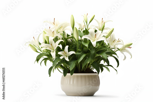 Lily in a pot 3d rendering style