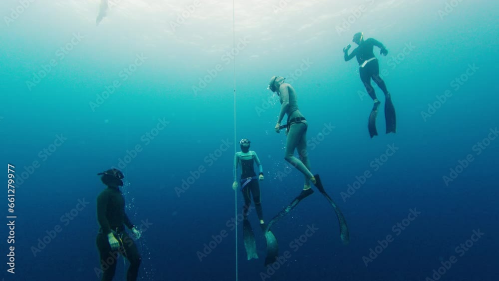 Group of freedivers dive along the rope and train in the sea Group of freedivers dive along the rope and train in the sea