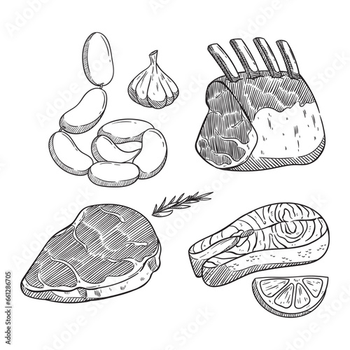 hand drawing meat product. raw meat for steak with sketch style