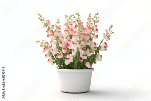 Snapdragon in a pot 3d rendering style