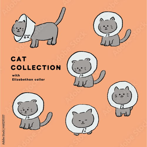 エリザベスカラーを付けたネコ　かわいい　手書き　セット