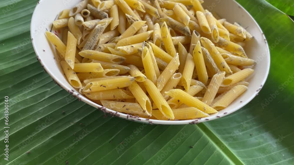 Weevils on spoiled pasta. Insects in food Weevils on spoiled pasta. Insects in food