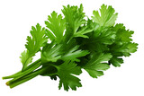 bunch of coriander leaves, isolated over a transparent background, cooking, food or diet design elements, cut-out PNG