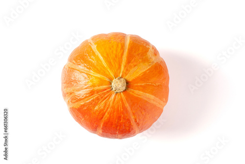 Pumpkin isolated on white background. Orange pumpkin isolated
