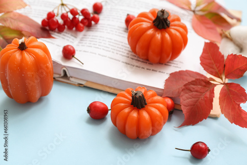 Autumnal decorative pumpkin...