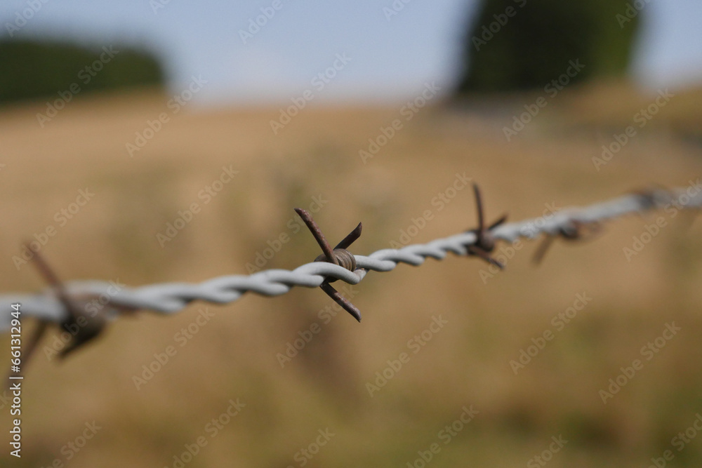 Barbed wire on fence against the background of a wheat field in summer. High quality photo