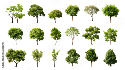 Overhead Tree Collection Isolated on Transparent or White Background, PNG