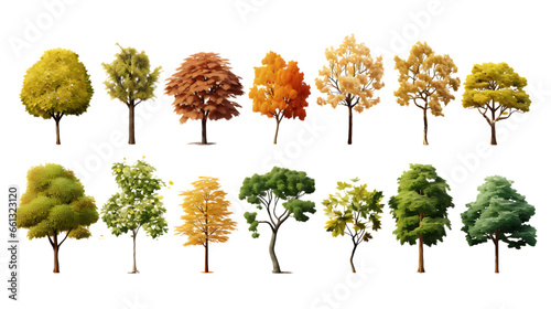 Seasonal Tree Collections. Isolated on Transparent or White Background, PNG