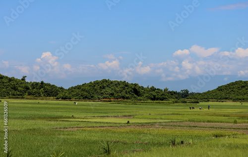 Agricultural field with green hills background in Bangladesh 