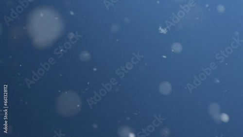 Wallpaper Mural Snow fall on winter background, white snowfall light, Christmas background . Torontodigital.ca