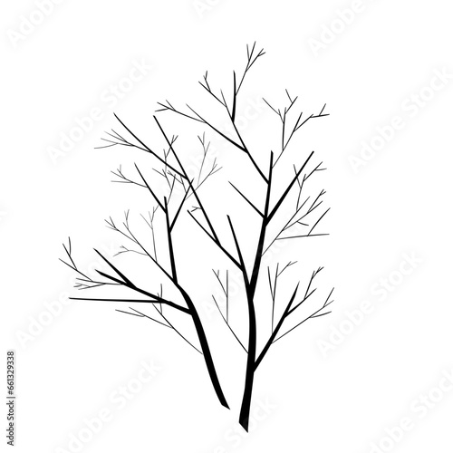 Vector trees silhouettes on white background