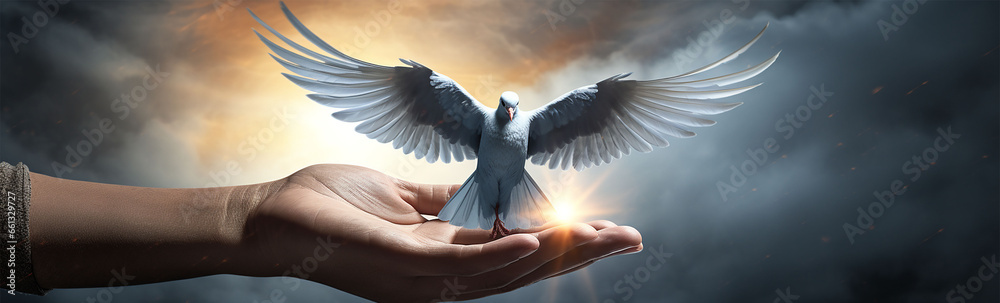 Conceptual image of human hand holding white dove on sky background. Peace Day concept.  - obrazy, fototapety, plakaty 