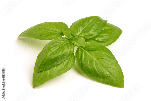 Sweet Basil leaves, fresh condiments, isolated on white background.