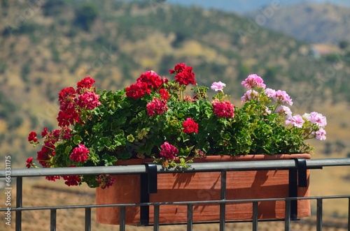 Fototapeta Naklejka Na Ścianę i Meble -  Jardinera con flores en Casarabonela, provincia de Mañalaga